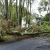 Perkasie Storm Damage Cleanup by GF Amador Tree Services & Complete landscaping LLC